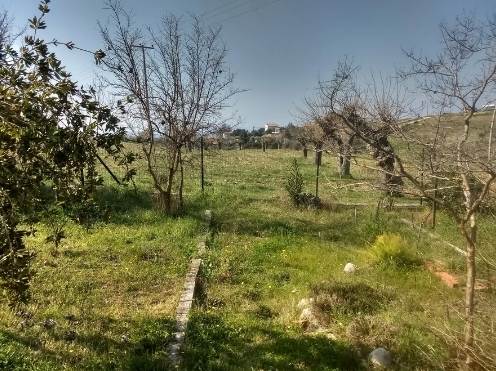 (For Sale) Land Agricultural Land  || East Attica/Stamata - 9.000 Sq.m, 650.000€ 