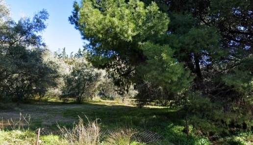 (For Sale) Land Plot || Athens North/Kifissia - 630 Sq.m, 430.000€ 