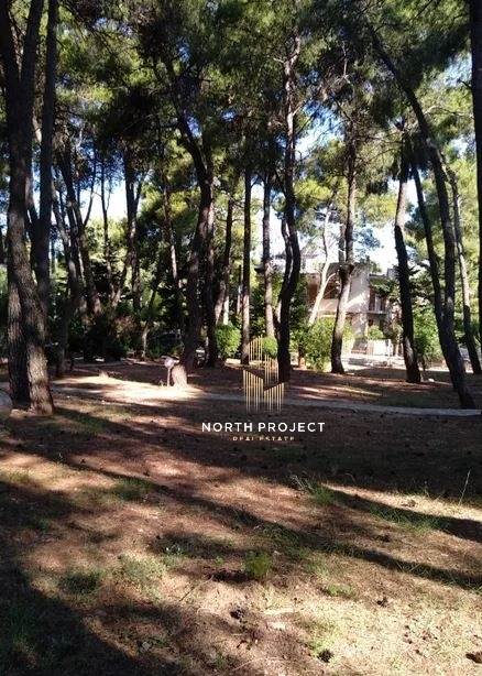 (Προς Πώληση) Αξιοποιήσιμη Γη Οικόπεδο || Ανατολική Αττική/Δροσιά - 960 τ.μ, 490.000€ 