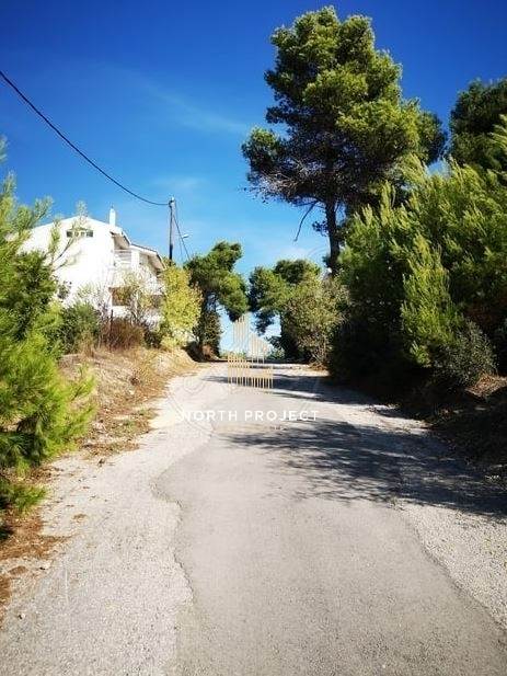 (Προς Πώληση) Αξιοποιήσιμη Γη Οικόπεδο || Ανατολική Αττική/Σταμάτα - 118 τ.μ, 50.000€ 