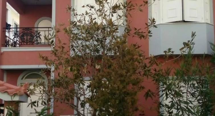 (Προς Πώληση) Κατοικία Μεζονέτα || Αθήνα Βόρεια/Μελίσσια - 215 τ.μ, 4 Υ/Δ, 550.000€ 