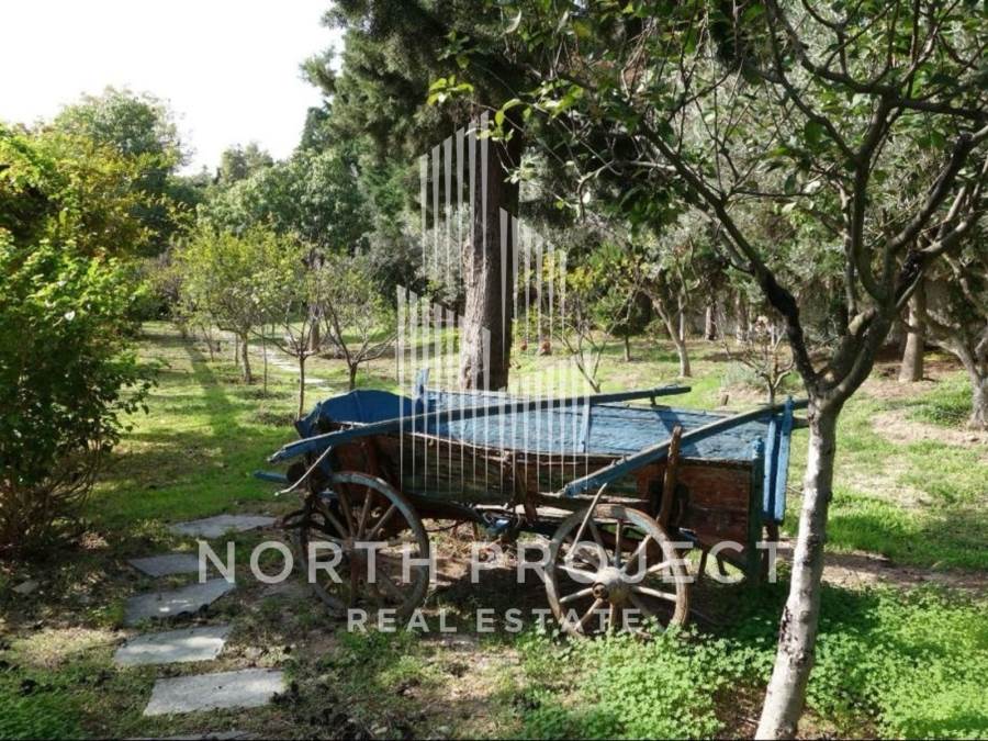 (Προς Πώληση) Κατοικία Μονοκατοικία || Ανατολική Αττική/Μαρκόπουλο Μεσογαίας - 780 τ.μ, 1.200.000€ 