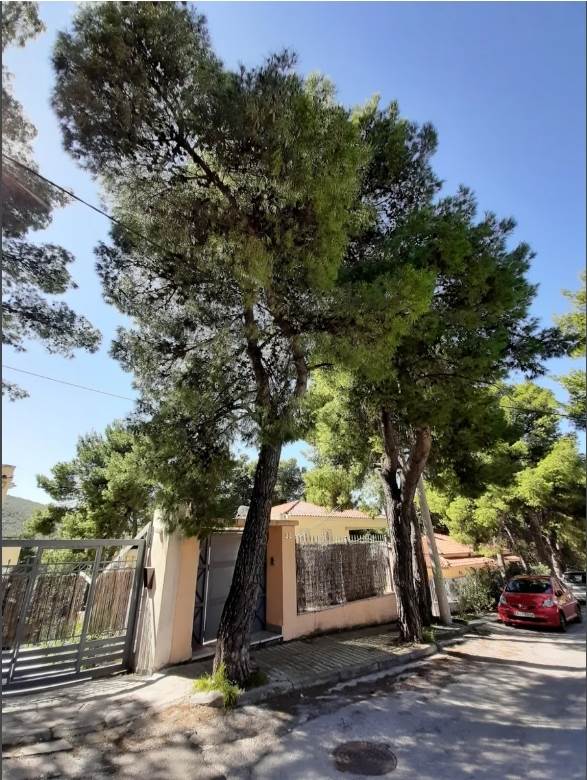 (Προς Πώληση) Κατοικία Διαμέρισμα || Ανατολική Αττική/Δροσιά - 91 τ.μ, 2 Υ/Δ, 270.000€ 