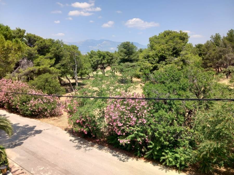 (Προς Ενοικίαση) Κατοικία Διαμέρισμα || Αθήνα Βόρεια/Κηφισιά - 250 τ.μ, 3 Υ/Δ, 2.500€ 