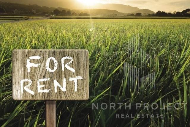 (For Rent) Land Plot || Athens North/Kifissia - 1.220 Sq.m, 2.000€ 