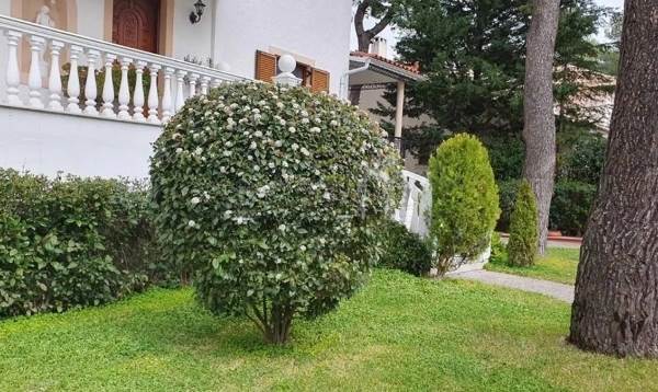 (Προς Ενοικίαση) Κατοικία Μεζονέτα || Ανατολική Αττική/Διόνυσος - 220 τ.μ, 3 Υ/Δ, 1.400€ 