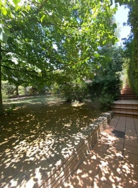 (Προς Ενοικίαση) Κατοικία Μεζονέτα || Ανατολική Αττική/Διόνυσος - 350 τ.μ, 4 Υ/Δ, 2.500€ 