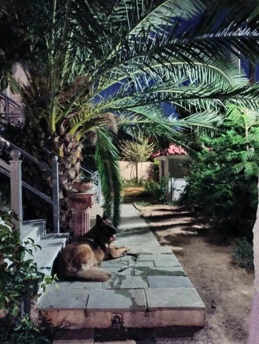 (Προς Πώληση) Κατοικία Μονοκατοικία || Αθήνα Βόρεια/Κηφισιά - 310 τ.μ, 5 Υ/Δ, 890.000€ 