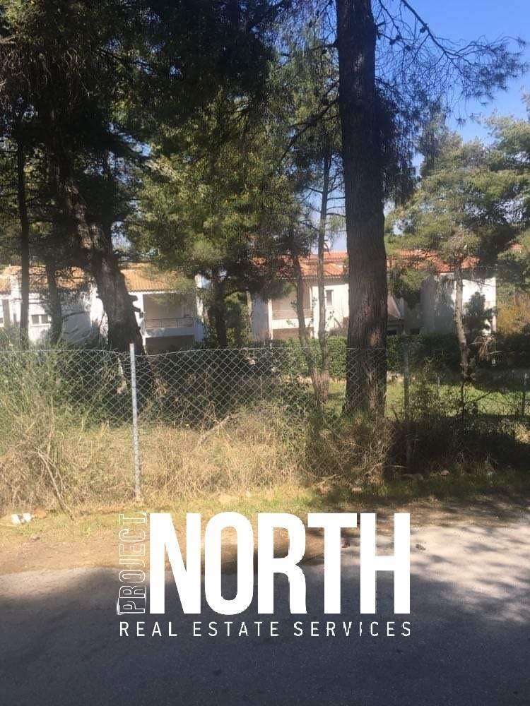 (Προς Πώληση) Αξιοποιήσιμη Γη Οικόπεδο || Ανατολική Αττική/Διόνυσος - 800 τ.μ, 350.000€ 